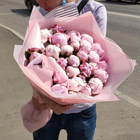 Пионы 31штук