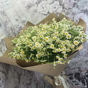 Букет ромашек Глория