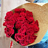 Букет из 23 крупных эквадорских роз - Фото 6