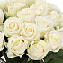 Букет 25 белых роз 60 см - Фото 5