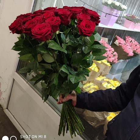 Ароматные розы 36штук - Фото 4