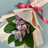 Букет-комплимент из розовых орхидей - Фото 6