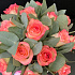 15 роз Джумилия с эвкалиптом в шляпной коробке - Фото 5