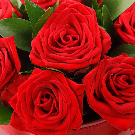 Цветы в коробке 9 красных роз Поцелуй меня №160 - Фото 3