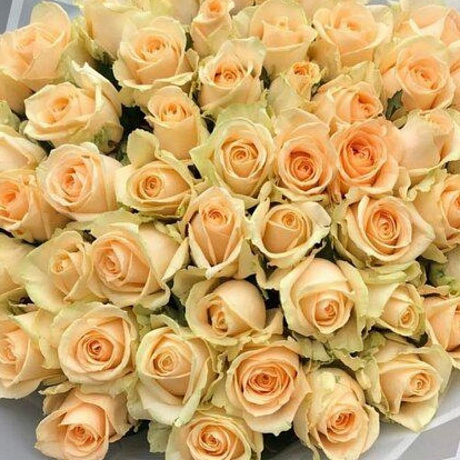 Букет оранжевых роз №160 - Фото 2