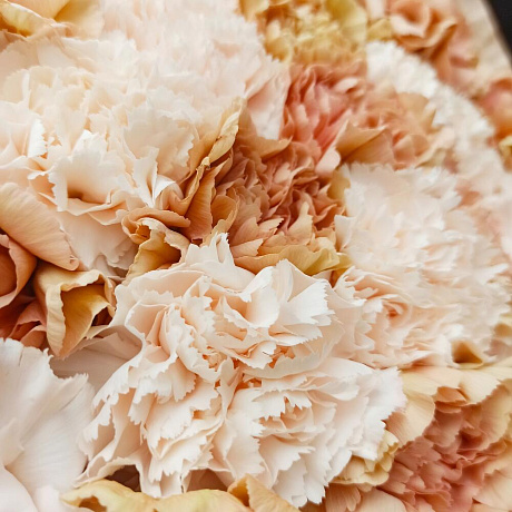 Букет Крем - Фото 6