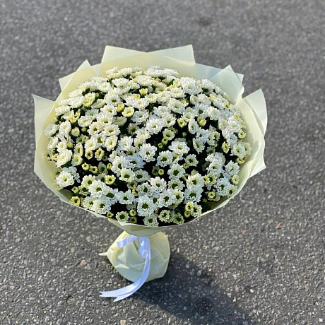 Сантини №160 - Фото 3