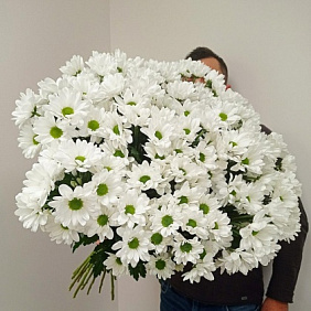 Букет цветов "Воздушное облако" №176