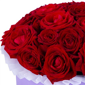 11 красных роз Премиум в сиреневой коробке