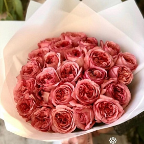 Пионовидная роза №165