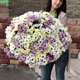 61 хризантема