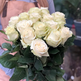 15 белых эквадорских роз