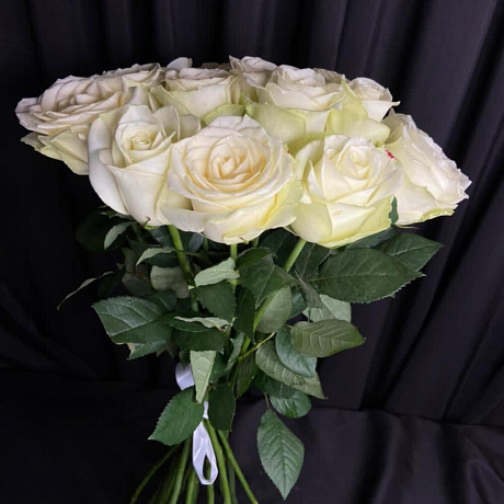 Роза Афина - Фото 2