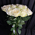 Роза Афина - Фото 2