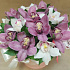 Цветы в коробке 13 прекрасных орхидей  «Микс счастья» - Фото 1
