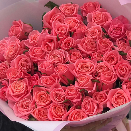 51 нежно розовая Роза сорт аква - Фото 5