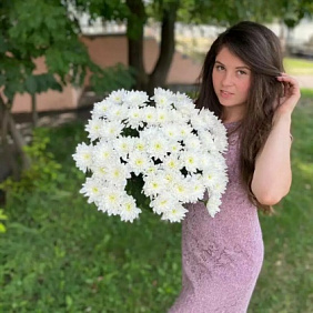 Хризантема кустовая 15 шт №160