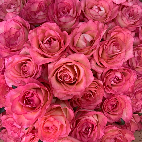 Букет цветов Ты-сама нежность - Фото 5