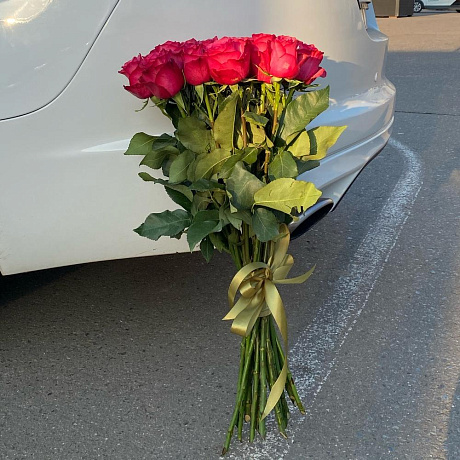 Роза лола - Фото 5