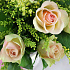 Композиция из зелено-розовой розы 15 шт солидаго в корзине - Фото 6
