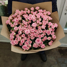 Куставая роза