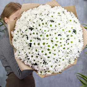 Букет из 51 белой хризантемы