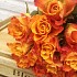 НК 19 оранжевых кенийских роз - Фото 4