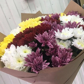 Букет из 15 кустовых хризантем №162