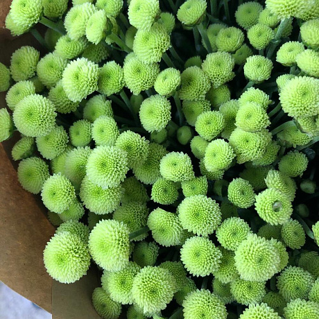 Букет Мадиба Лайм - Фото 4