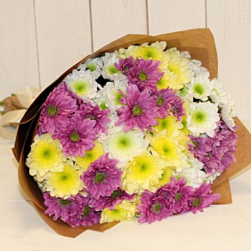 15 разноцветных хризантем "1 Сентября"