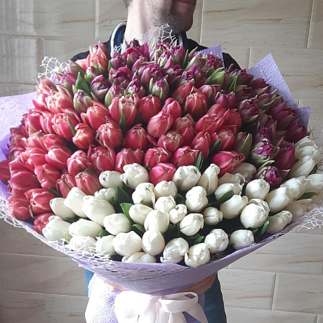 151 Пионовидный Тюльпан - Фото 2