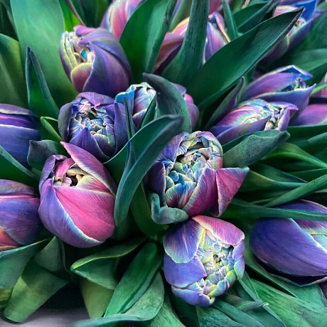 Букет цветов Семь глубин - Фото 5