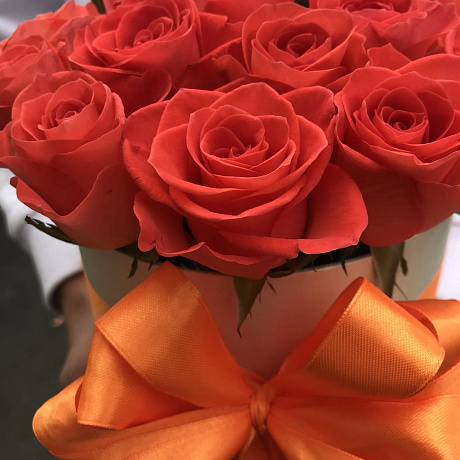 Коробки с цветами . Оранжевая роза 19 шт. N250 - Фото 6