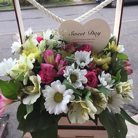 Ящик с цветами «Компромисс»