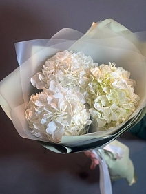 Роскошные Гортензии (3шт)