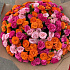 Букет из 51 кустовой розы микс - Фото 3