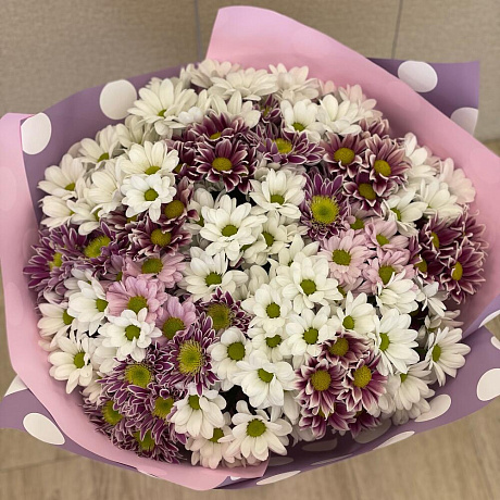 Букет из 25 кустовых хризантем - Фото 6
