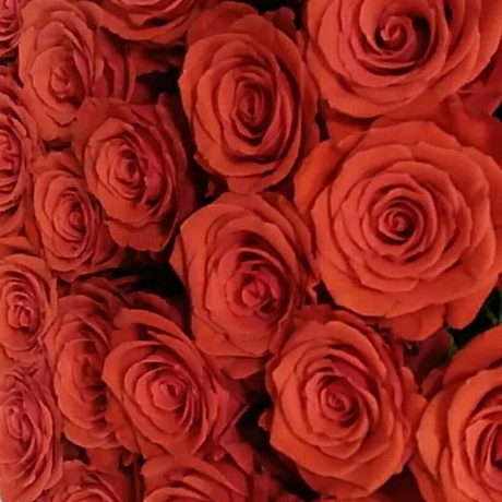 Букет цветов Очаровательная Нина №160 - Фото 3