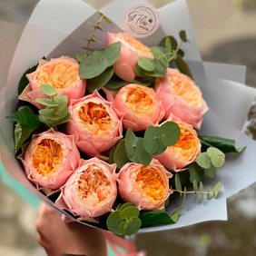 Роза Вувузела 9