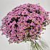 Охапка фиолетовых ромашек - Фото 1