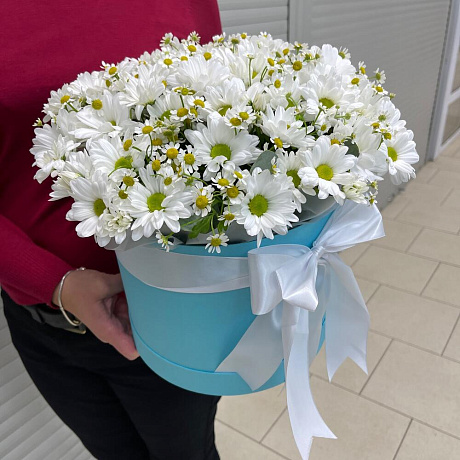 Микс из ромашковых хризантем  - Фото 5