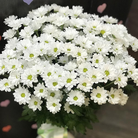 Букет цветов Ромашка №165 - Фото 5