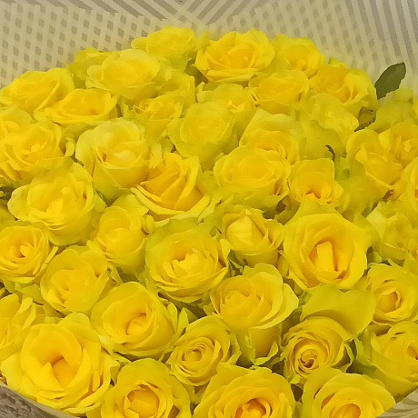 Монобукет из 51 жёлтой розы - Фото 5