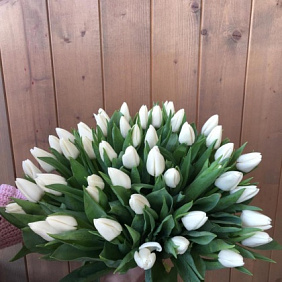 Букет 51 белый тюльпан №161