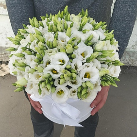 Белая эустома в коробке №161