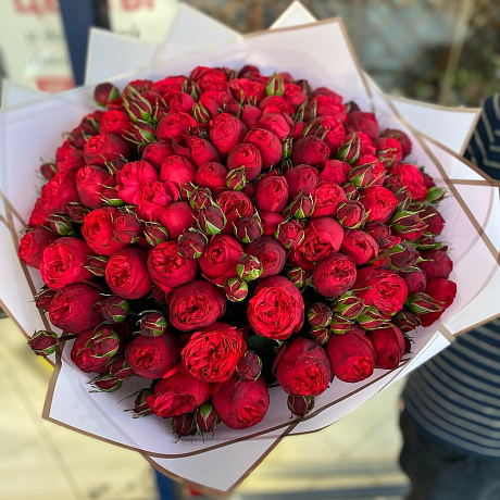 Букет бордовых пионавидных роз  РЕД ПИАНО - Фото 6