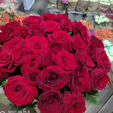 Роза красная крафт упаковке - Фото 5