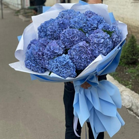 Огромный букет из 17 гортензий 