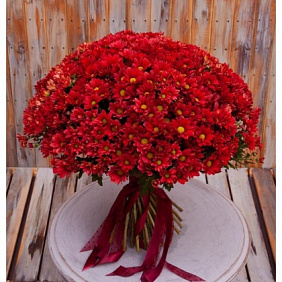 Букет соло красных кустовых хризантем