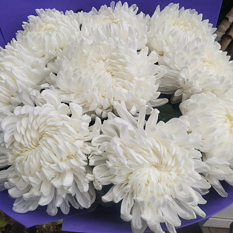 Букет Антонов - Фото 5